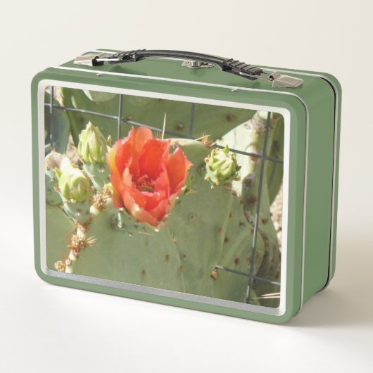 Kakteen Tough and Beautiful Green Lunchbox (Rückseite)