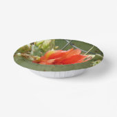 Kakteen Tough and Beautiful Paper Bowls Pappteller (Gewinkelt)