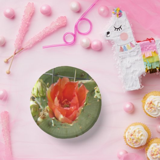 Kakteen Tough and Beautiful Paper Bowls Pappteller (Party)