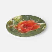 Kakteen Tough and Beautiful paper Tellers Pappteller (Schrägansicht)