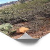 Kakteen und Catalina Mountains in Tucson, Arizona Poster (Ecke)