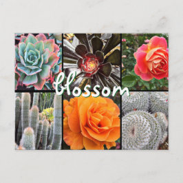 Kakteen und Rose Fotografie Collage Blosom Zitat Postkarte