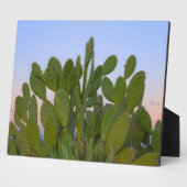 Kakteen und Sisal im Trockenwald Fotoplatte (Seite)