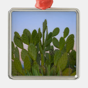 Kakteen und Sisal im Trockenwald Ornament Aus Metall