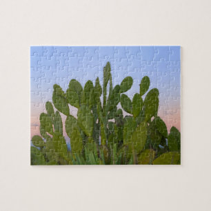 Kakteen und Sisal im Trockenwald Puzzle