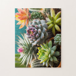 Kakteen und Sukkulenten Puzzle