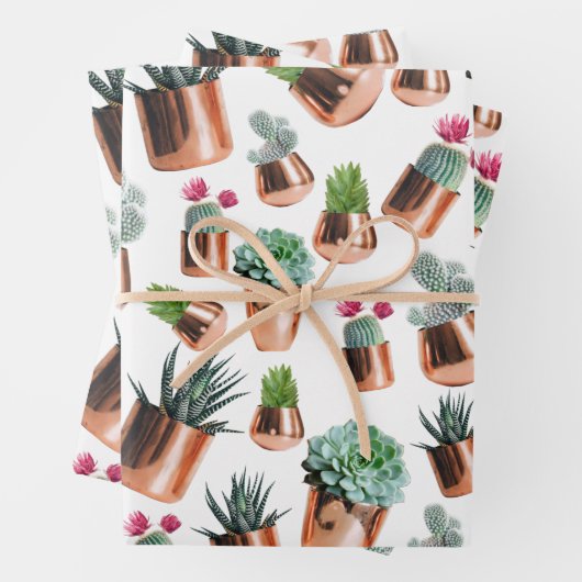 Kakteen und Sukkuline in Rose Geschenkpapier Set (Beispiel)