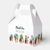 Kakteen und Sukkuline in Rose Geschenkschachtel (Rückseite)