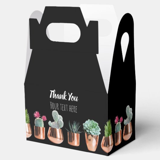 Kakteen und Sukkuline in Rose Geschenkschachtel (Geöffnet)