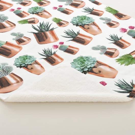 Kakteen und Sukkuline in Rose Sherpadecke (3/4)