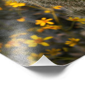 Kakteen und Wildblumen Fotodruck (Ecke)