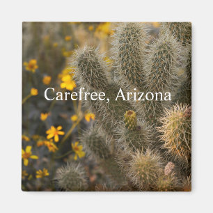 Kakteen und Wildblumen Freistehend, Arizona Magnet