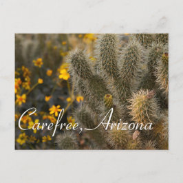 Kakteen und Wildblumen in Karerfrei, Arizona Postkarte