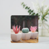 Kakti (Stehend Vorderseite)