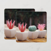 Kakti (Vorne/Hinten)