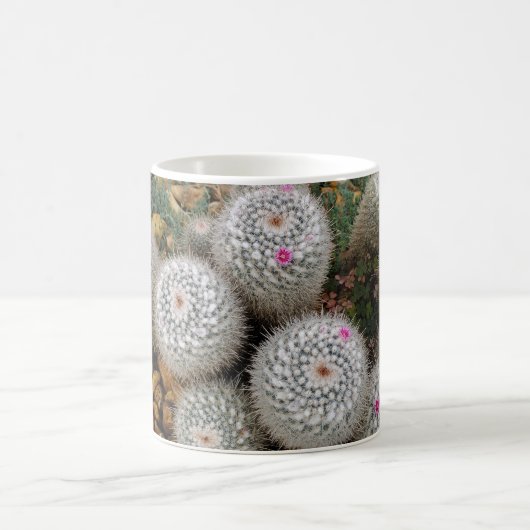 Kakti Kaffeetasse (Mittel)