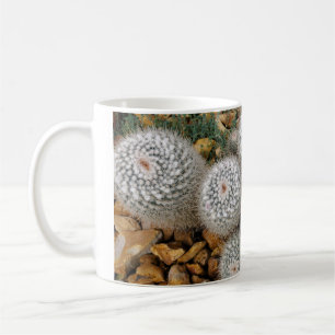 Kakti Kaffeetasse