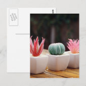 Kakti Postkarte (Vorne/Hinten)