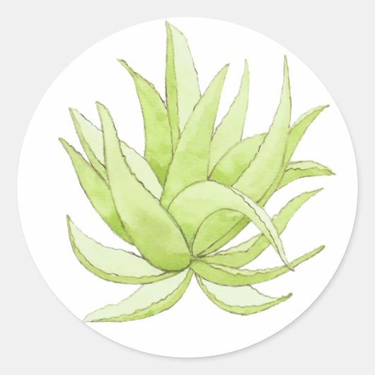 Kaktsticker aloe vera runder aufkleber (Vorderseite)