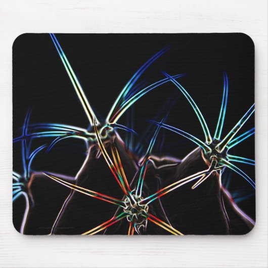 Kaktus 1 mpcnm mousepad (Vorne)