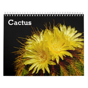 Kaktus 2027 kalender