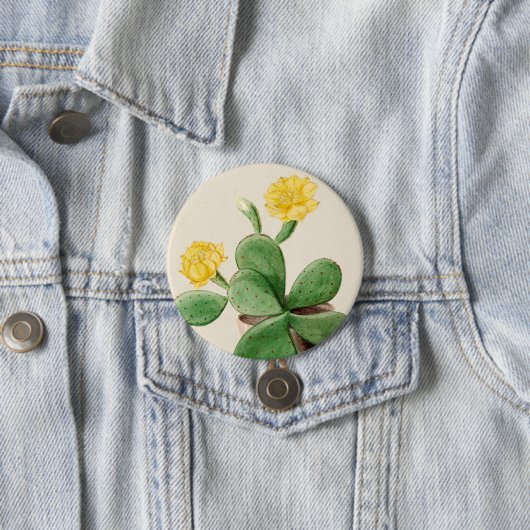 Kaktus 2 button (Beispiel)