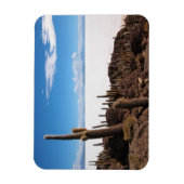 Kaktus am rechteckigen Magneten des Salar de Uyuni Magnet (Vertikal)