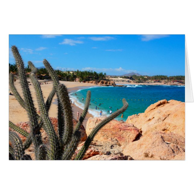 Kaktus auf der Felshütte über Sandy Beach (Vorderseite (Horizontal))