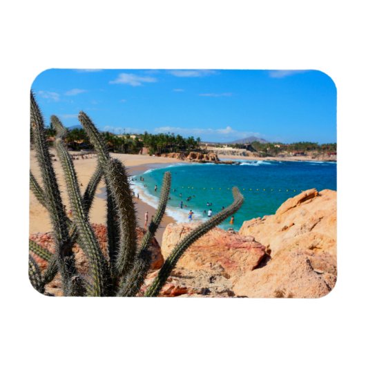 Kaktus auf der Felshütte über Sandy Beach Magnet (Horizontal)