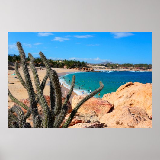 Kaktus auf der Felshütte über Sandy Beach Poster (Vorne)