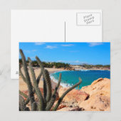 Kaktus auf der Felshütte über Sandy Beach Postkarte (Vorne/Hinten)