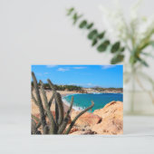 Kaktus auf der Felshütte über Sandy Beach Postkarte (Stehend Vorderseite)