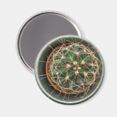 Kaktus auf Kühlschrank Magnet (Vorderseite/Rückseite)