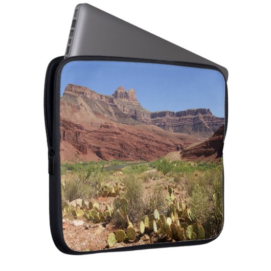 Kaktus auf Unkar Dreieck in der Grand- Laptopschutzhülle (Vorne Rechts)