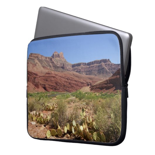 Kaktus auf Unkar Dreieck in der Grand- Laptopschutzhülle (Vorderseite Links)