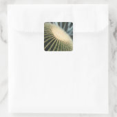 Kaktus Aufkleber (Tasche)