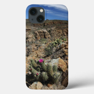 Kaktus-Blühen Case-Mate iPhone Hülle