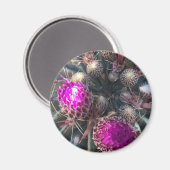 Kaktus blühen magnet (Vorderseite/Rückseite)