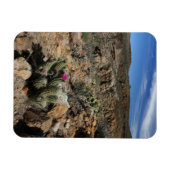 Kaktus blühen magnet (Horizontal)