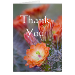 Kaktus blüht in Orange Danke Karte