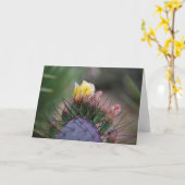 Kaktus Blume 7 Karte (Gelbe Blume)