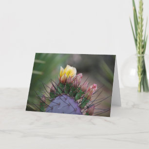 Kaktus Blume 7 Karte