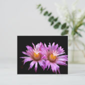 Kaktus-Blume auf Postkarte (Stehend Vorderseite)