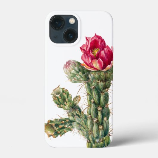 Kaktus-Blume Case-Mate iPhone Hülle (Rückseite)