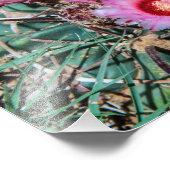 Kaktus-Blume Fotodruck (Ecke)