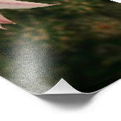 Kaktus-Blume Fotodruck (Ecke)