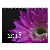 Kaktus-Blume Kalender (Titelbild)