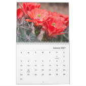 Kaktus-Blume Kalender (Jan 2027)