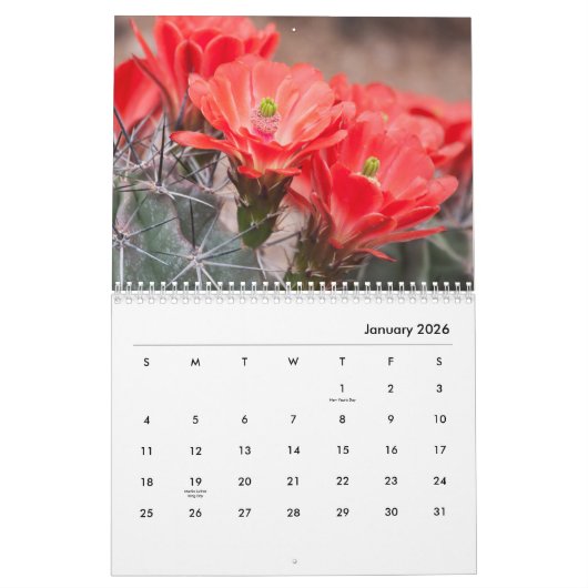 Kaktus-Blume Kalender (Jan 2026)