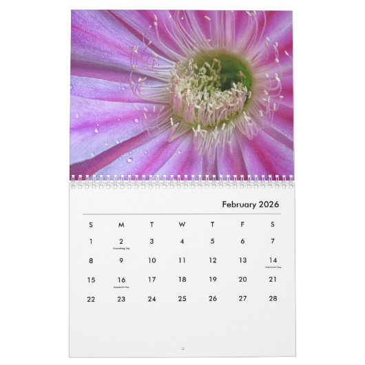 Kaktus-Blume Kalender (Feb 2026)